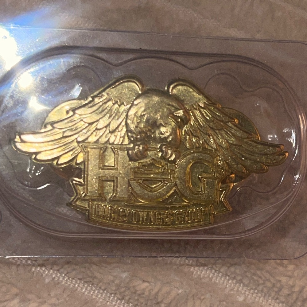 Gold Winged Harley Davidson Pin